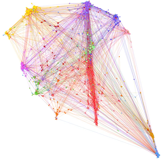 From Network to Insights